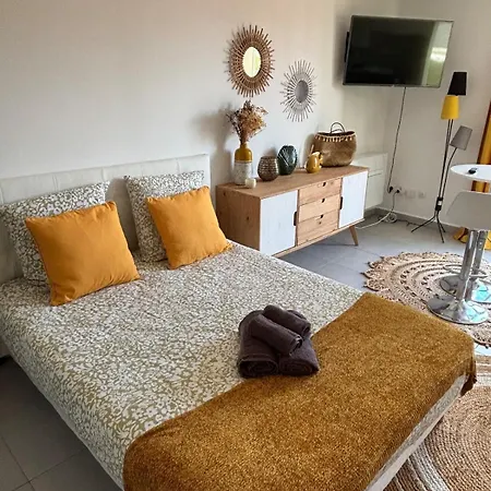 équipé Centre Erbalunga Appartement